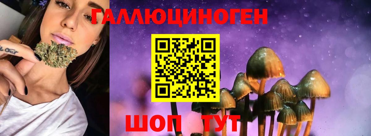 Псилоцибиновые грибы GOLDEN TEACHER  купить   Ахтубинск  Вход с VPN 
